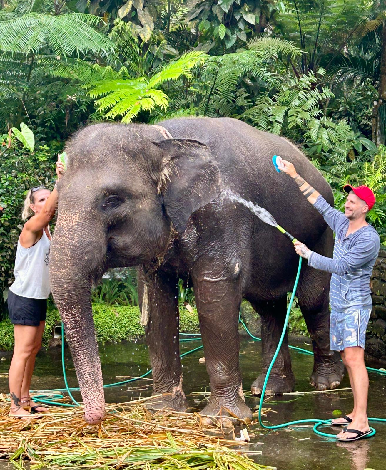 Bali retreat