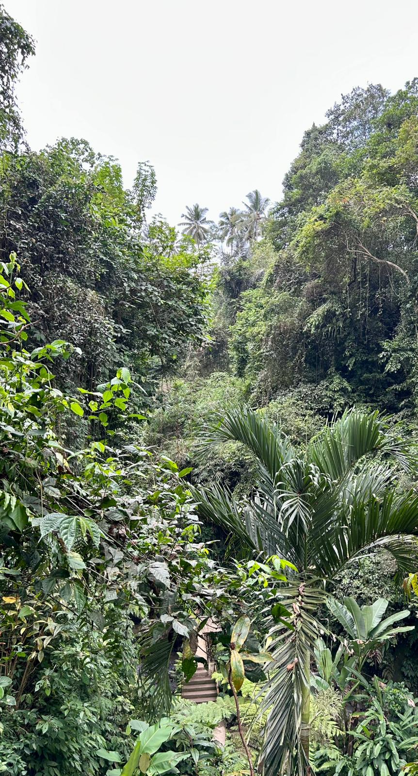Bali retreat